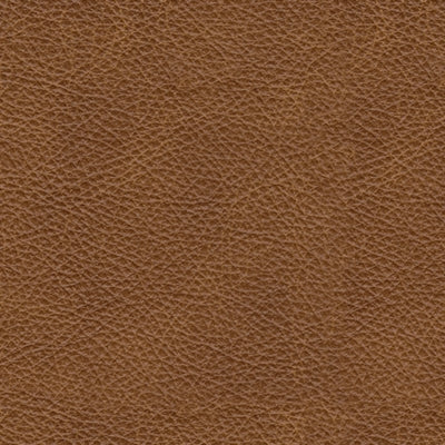 Carianna Sofa Sleeper - Venta Furnishings (San Antonio,TX)