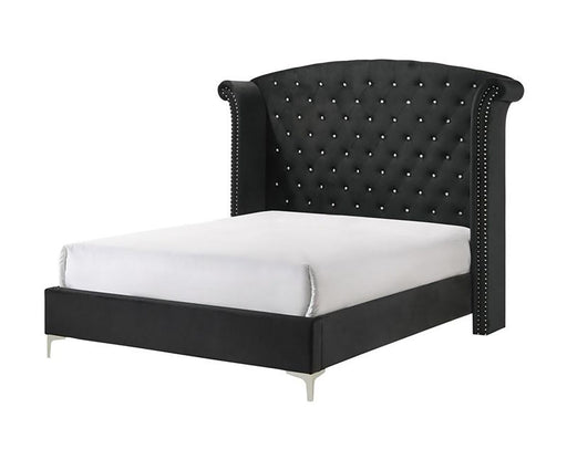 Crown Mark Furniture Lucinda King Upholstered Panel Bed in Black B9265-K image