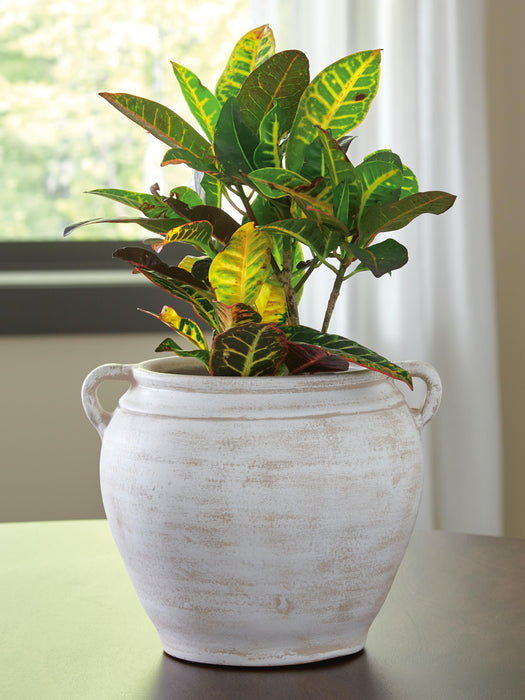 Meadie Vase - Venta Furnishings (San Antonio,TX)