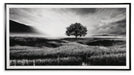 Deborland Wall Art - Venta Furnishings (San Antonio,TX)