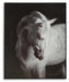 Archerwick Wall Art - Venta Furnishings (San Antonio,TX)