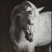 Archerwick Wall Art - Venta Furnishings (San Antonio,TX)