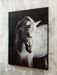 Archerwick Wall Art - Venta Furnishings (San Antonio,TX)