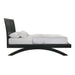 Allan Bed - Venta Furnishings (San Antonio,TX)
