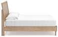 Cielden Bed - Venta Furnishings (San Antonio,TX)