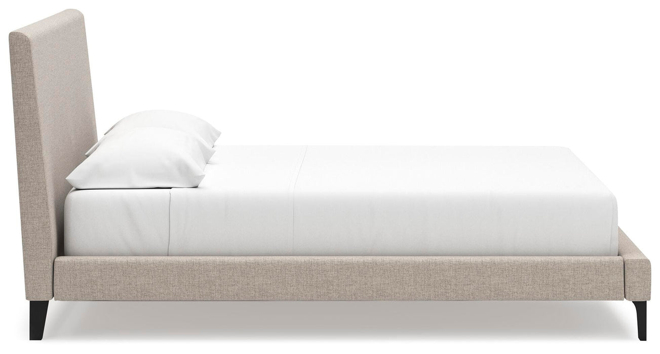 Cielden Upholstered Bed with Roll Slats - Venta Furnishings (San Antonio,TX)