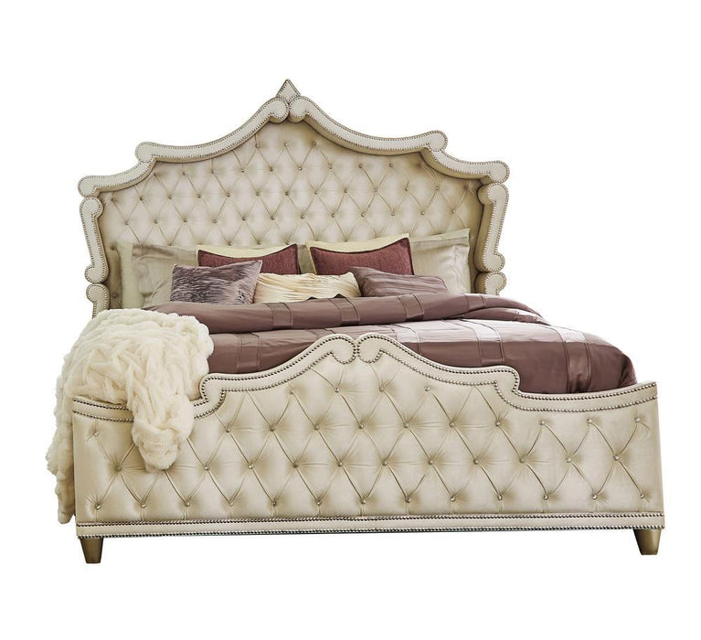 Antonella Upholstered Tufted California King Bed Ivory and Camel - Venta Furnishings (San Antonio,TX)