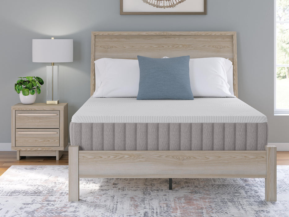 Terra Sleep Firm Mattress - Venta Furnishings (San Antonio,TX)