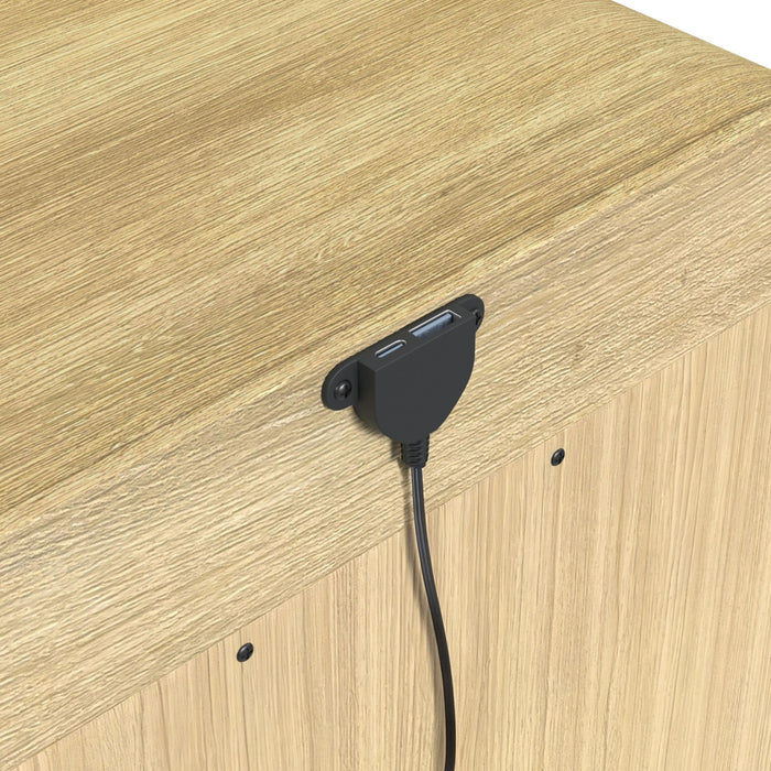 Ridgemont 2-Drawer Nightstand with USB in Natural