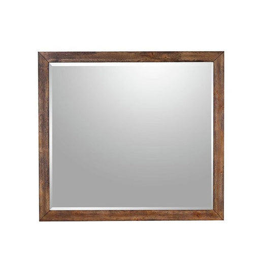 Elements International Warner Youth Mirror in Chestnut image